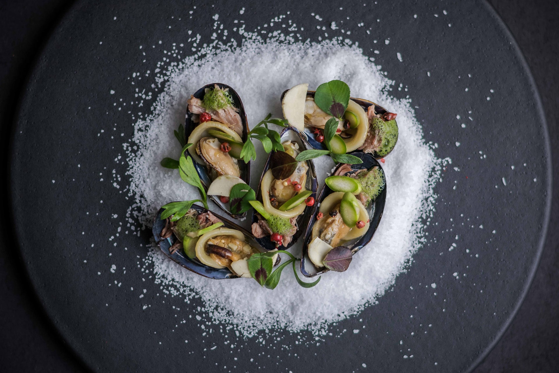 oyster-food
